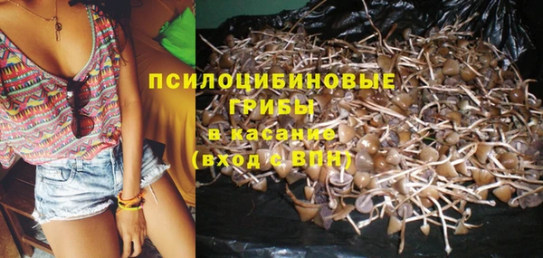 прущие грибы Верхний Тагил
