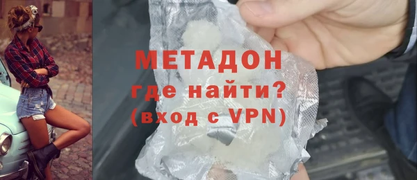 прущие грибы Верхний Тагил