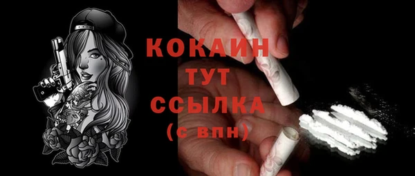 прущие грибы Верхний Тагил