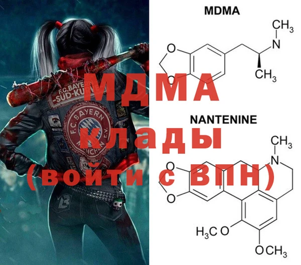 прущие грибы Верхний Тагил