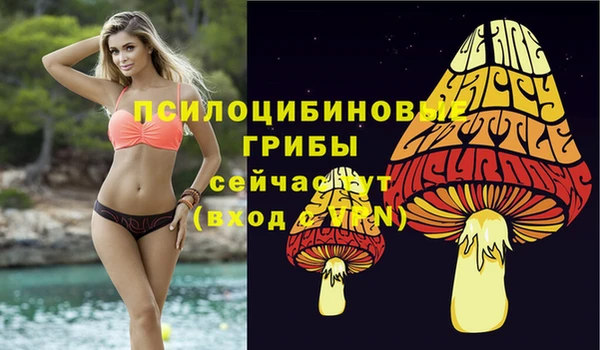 прущие грибы Верхний Тагил